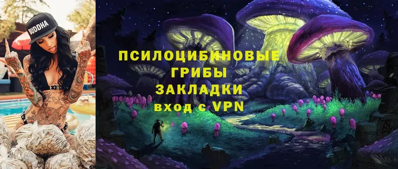 Галлюциногенные грибы Magic Shrooms  Нарьян-Мар 